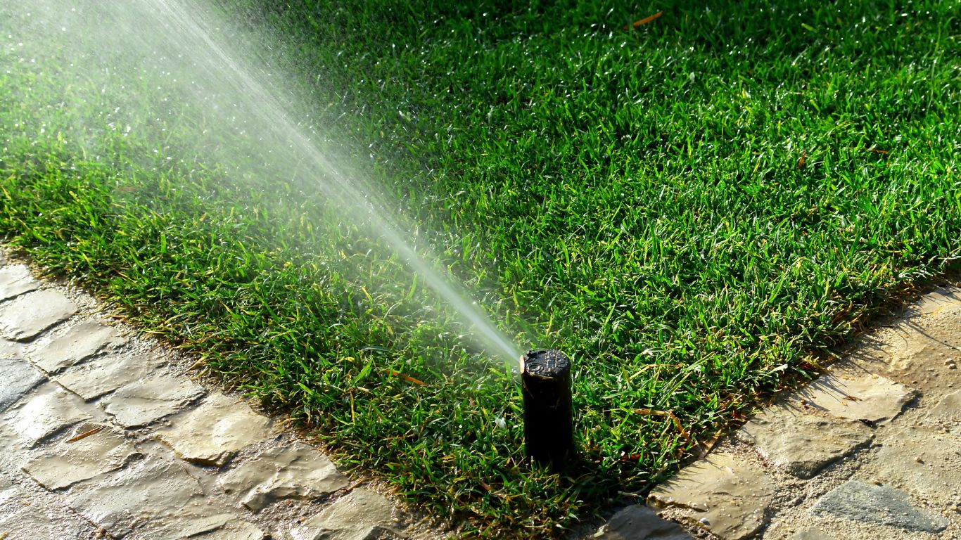Sprinkler watering grass