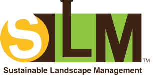 SLM kandscape logo