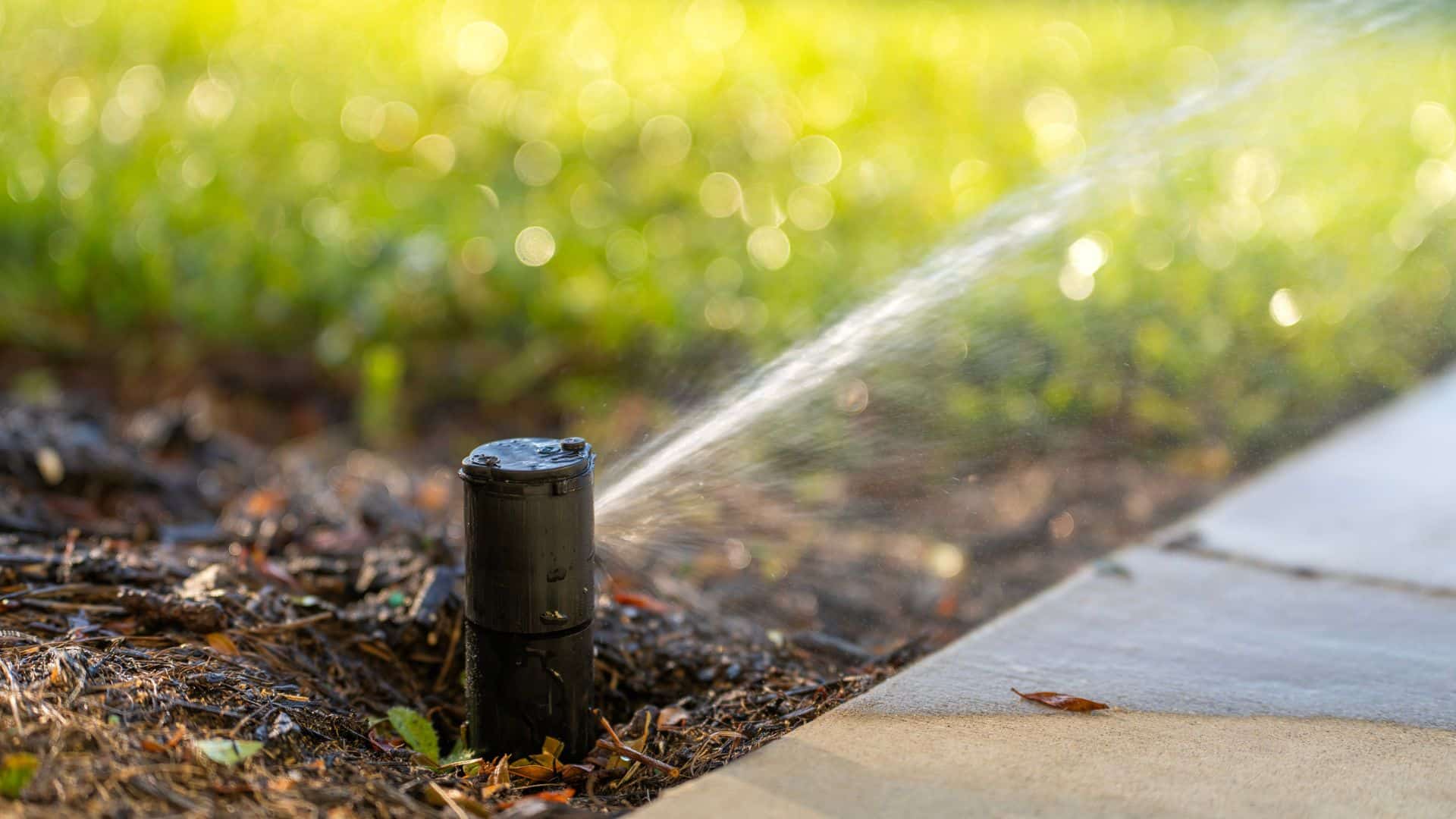 Titanls-website-section-irrigation-system-service-box