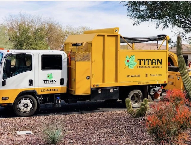Year round weed control - Titan Landscape - Phoenix