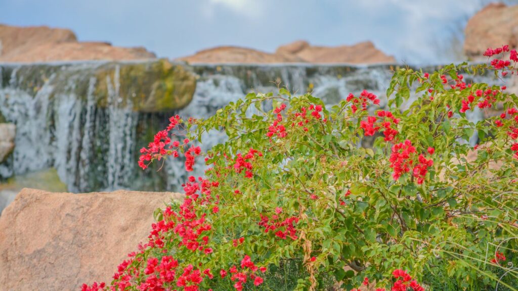 anthem-arizona-waterfall