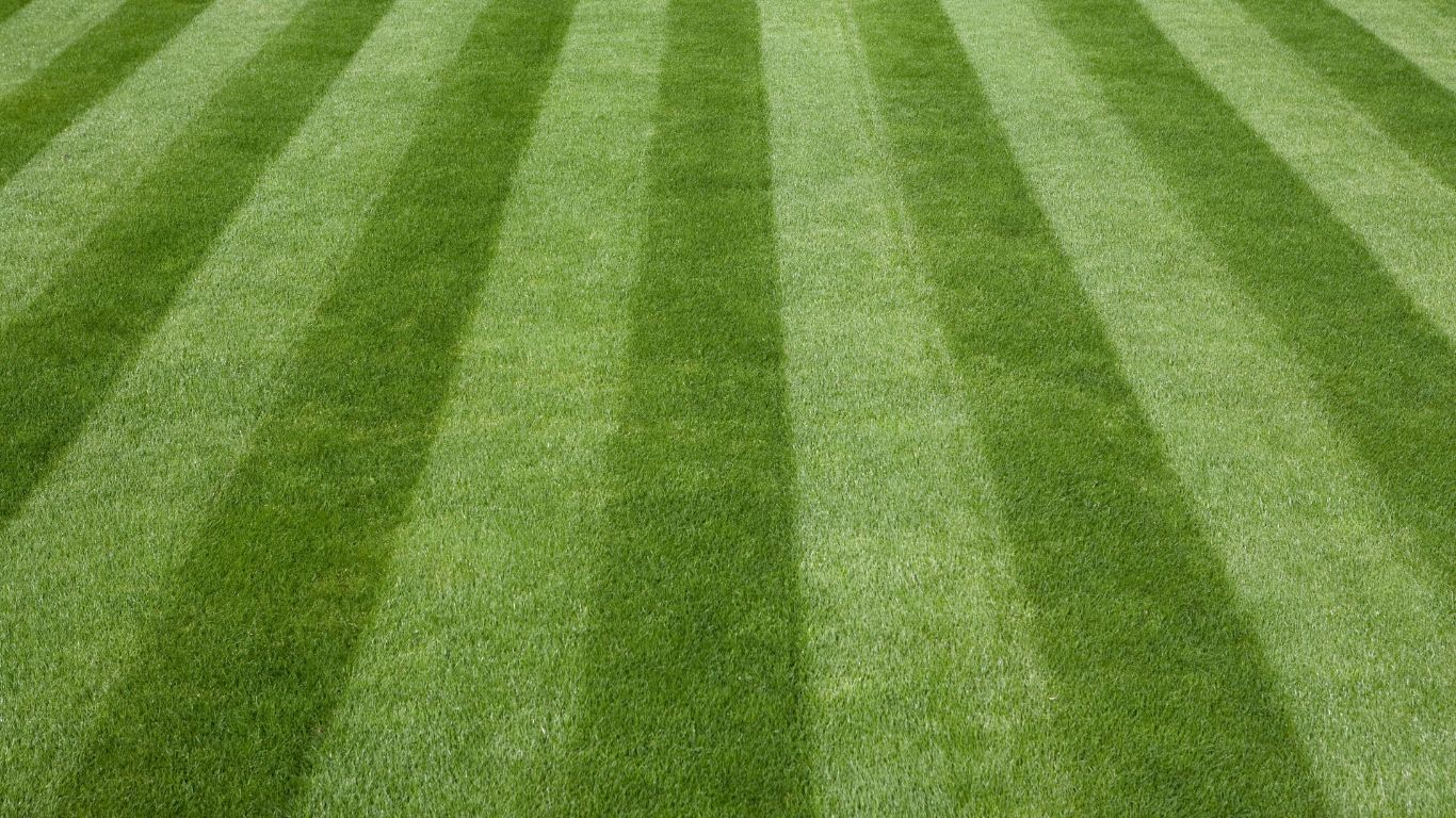 green-grass-002