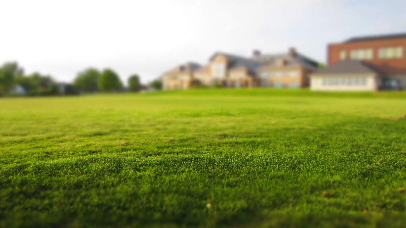 green-lawn-002