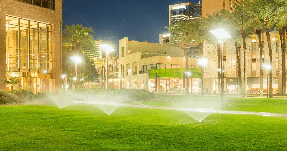 Healthy commercial lawn at an office property in Phoenix maintained with proper soil management practices.
