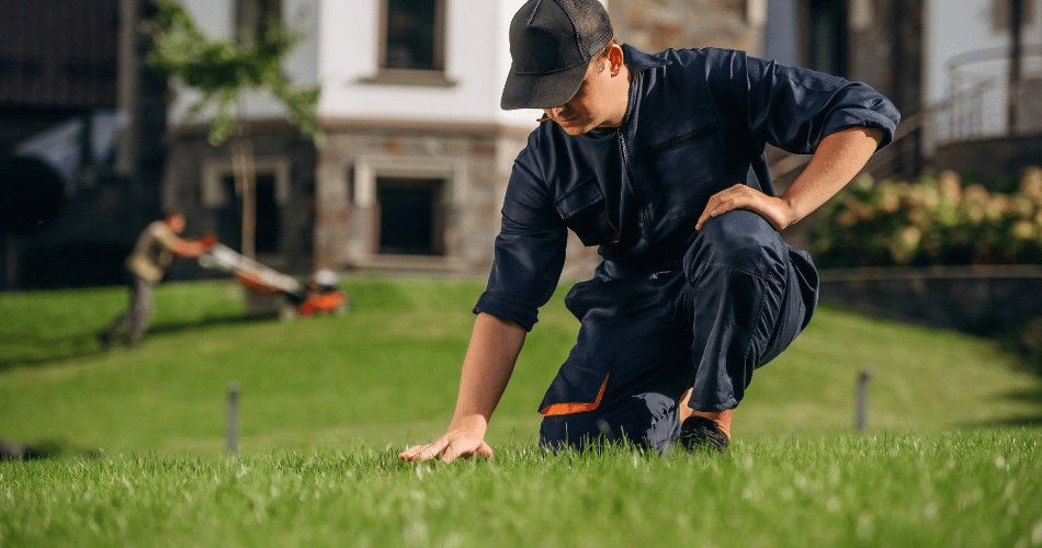 Landscape professional inspecting the condition of a commercial lawn before recommending aeration and gypsum services.