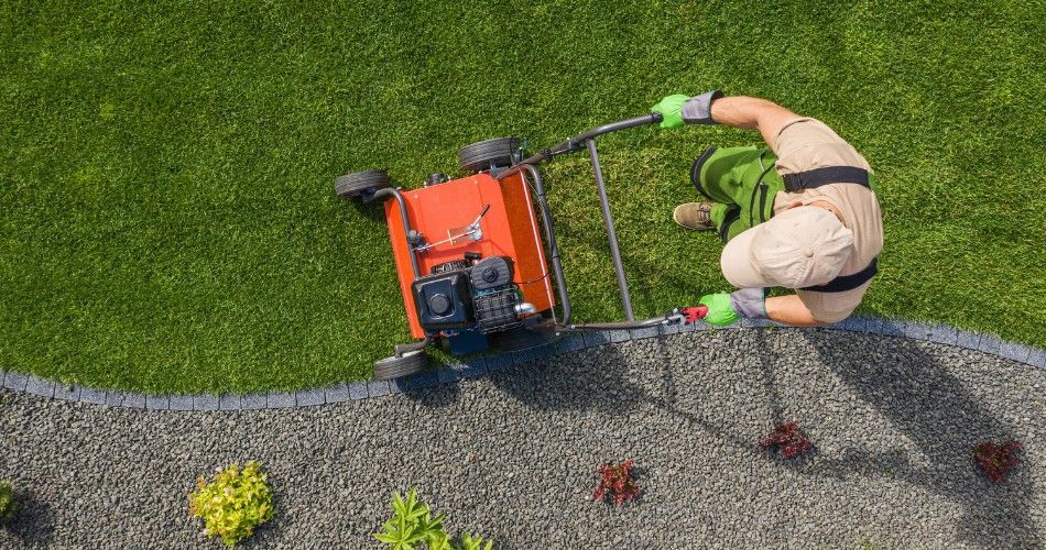 Landscape worker preparing or maintaining turf with lawn equipment on a commercial property.