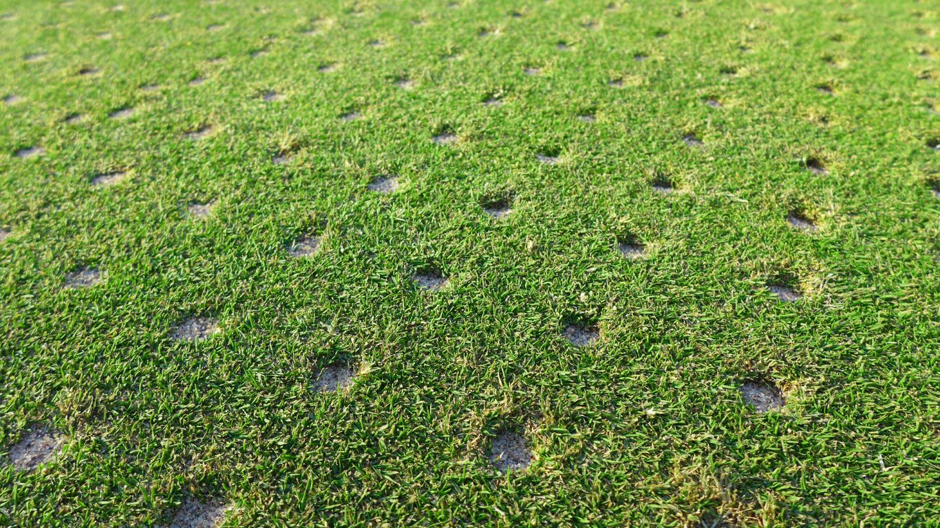lawn-areation-002
